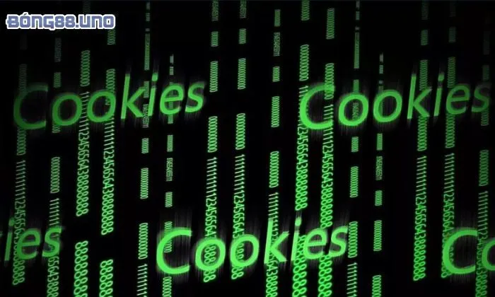 Chính sách bảo mật Bảo mật với Cookies